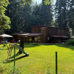 Persey Villa Borovets