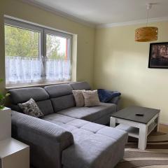 Comfy & Cozy Apartment