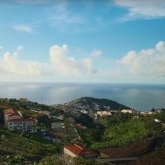Quinta do Ribeiro Real