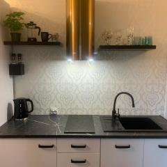Studio Apartament z Tarasem