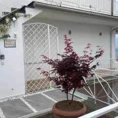 Terrazza Ammare