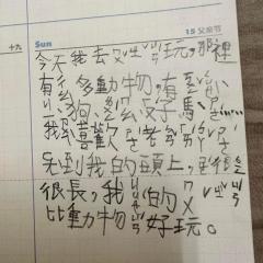 拇指園民宿