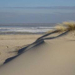 Nordseeglück