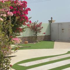 استراحة القمة