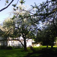 Villa Eden Peene