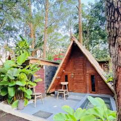 Triangle House and hot spring