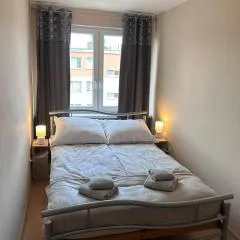 Kościuszki Elegant Apartment by BookingHost