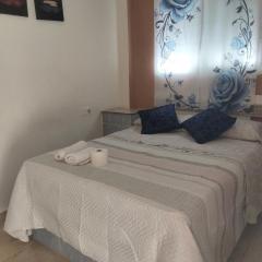 Alojamiento Sheril Zaidín 1