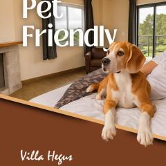 Villa Hegus chales com hidro ar lareira