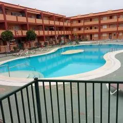 La Olivilla