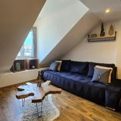 Appartement atypique au cœur de Sallanches