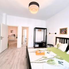 Downtown Spacious Retreat