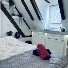 Cocon au cœur de Strasbourg