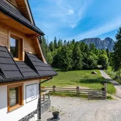 Biały Miś Apartamenty Art & Design
