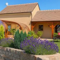 Maison de charme en Berry près d'un golf & spa, jardin d'hiver, vélos, animaux bienvenus - tout inclus - FR-1-591-332