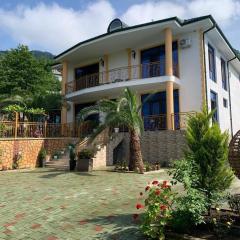 Villa with swimming pool