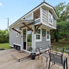 4 Tiny Town Modern Tiny Home Animals Fire Pit by Vacation Your Way