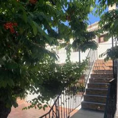 apartamentos CerroNegro