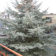 2c klimatyzacja mieszkanie normalne dwupokojowe nieprzechodnie Halczyna 9 Kraków Alfa