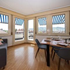 Spacious Zurich Apt Huge Terrace & Views