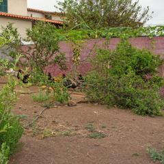 Paraiso Madeira - Suites