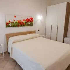 B&B SediciMarzo