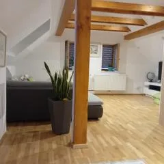 Steggasse1