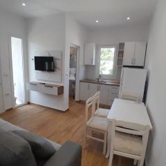 Vila Damir