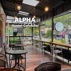 ALPHA Hostel Cafe&Bar