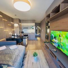 Karzo Property LU 207 Free Garage