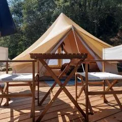 Glamping Luz Olive