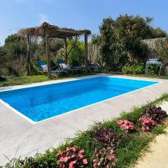 Olive and Blue Retreat