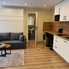 Apartament i Pokoje Gościnne u Lusi - BASEN z podgrzewaną wodą i zadaszeniem