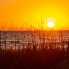 2339 Racquet Club at The Sea Pines Resort