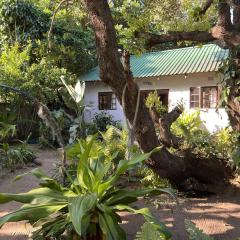 Moz-Tree Inn