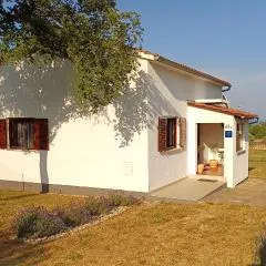 House Meli