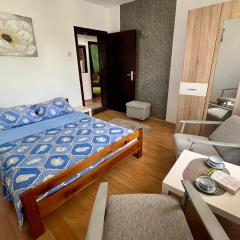 Apartman Jovičić Banja Vrujci