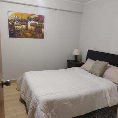 Amplio departamento en Ica