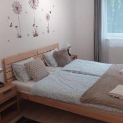 125 Family Apartment 1 near by Heroes Square with free garage