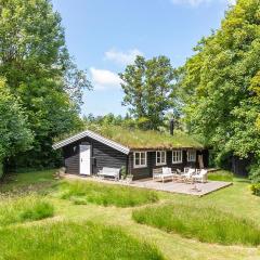 Cozy Home In Dronningmølle With Wifi