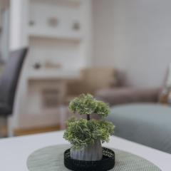 Apartman Vukota Pirot