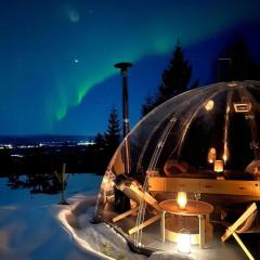 Glass Igloo With Panoramic Views In Åsbygda