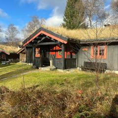Mountain Cabin Near Dovre With Panoramic View