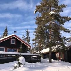 Enjoy Traditional, Norwegian Cabin Coziness