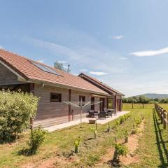 Gîte écologique calme proche Vosges, accueil PMR - FR-1-583-465