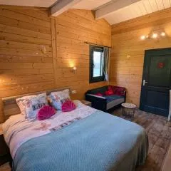 Chalet Jonquille avec Spa dans les Vosges du Sud - FR-1-583-500