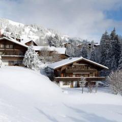 Cozy Apt Overlooking the Gstaad Mountain Area