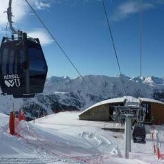 Cozy Alpine Apartment