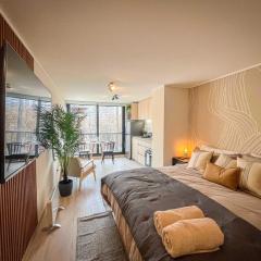 HOM I ESTUDIO SARMIENTO 2PAX