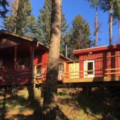 Secluded Cottage In The Middle Of The Forest